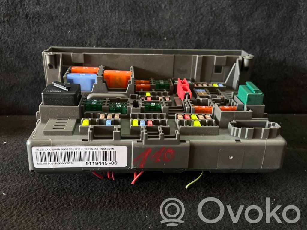 Fuse module   9119445,18231000004A,16052018