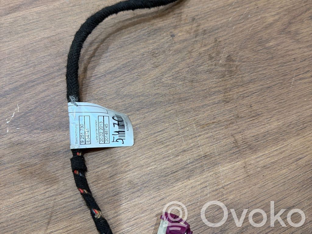 BMW 3 F30 F35 F31 Other wiring loom 