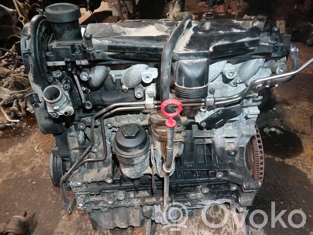 Engine   30731988