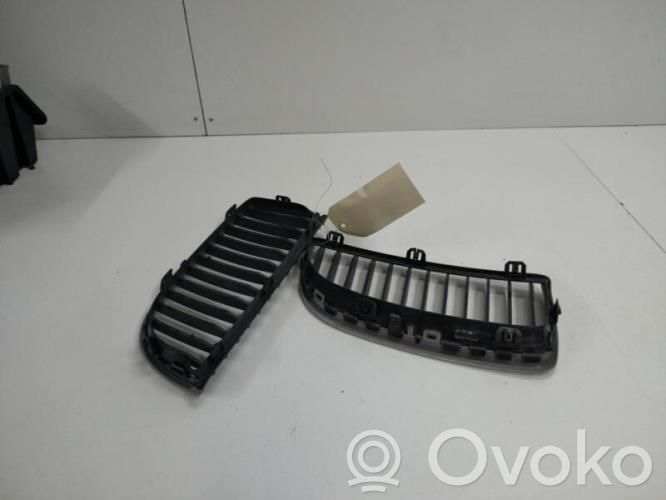 Kühlergrill   51137120008