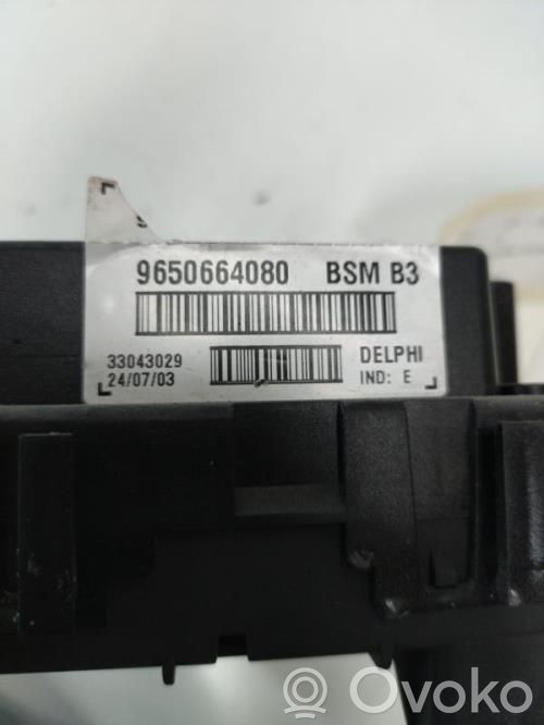 BSM Control unit   6580HS