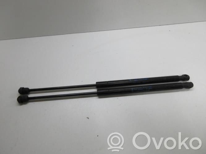 Ford Focus Tailgate/trunk strut/damper 