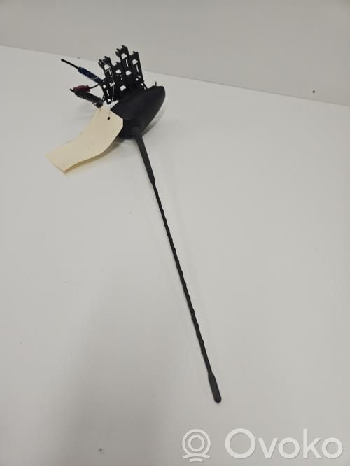 Radion antenni   65206930350