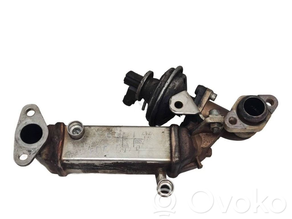 BMW 5 E60 E61 EGR dzesētājs 