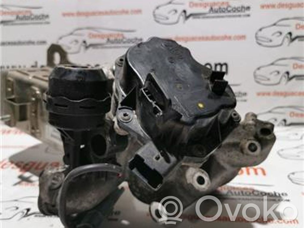 Válvula EGR   9671398180