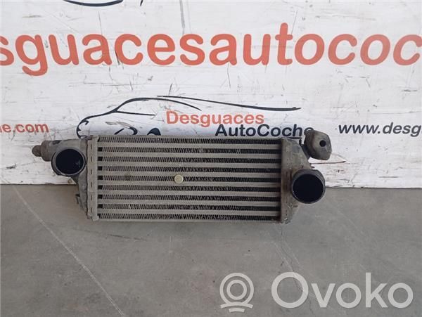 Mini One - Cooper R50 - 53 Interkūlerio radiatorius 