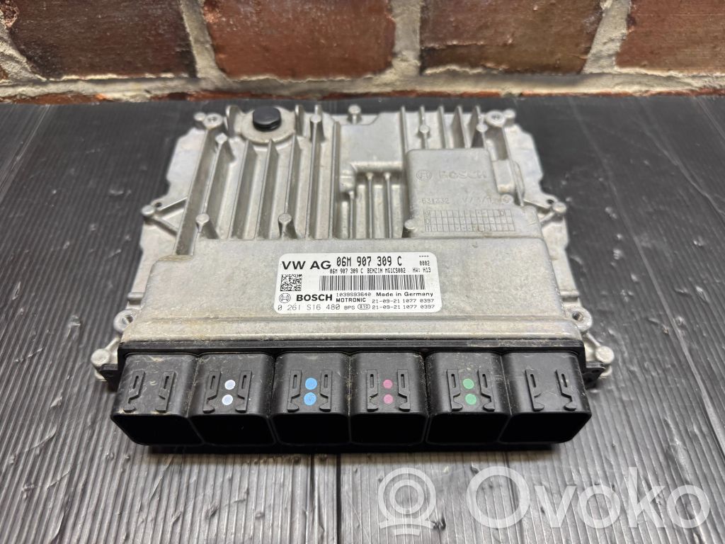 Engine control unit/module   06M907309C,0261S16480