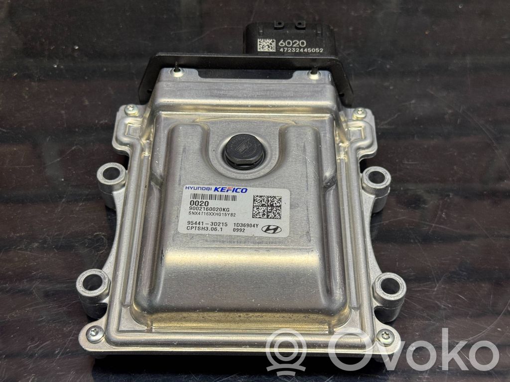 Engine control unit/module   954413D215,1D36904Y,954413D215
