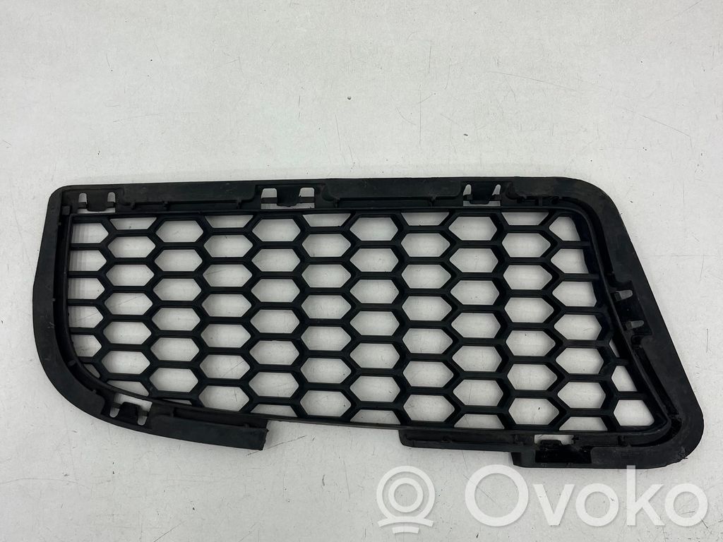 BMW M5 Front bumper lower grill 