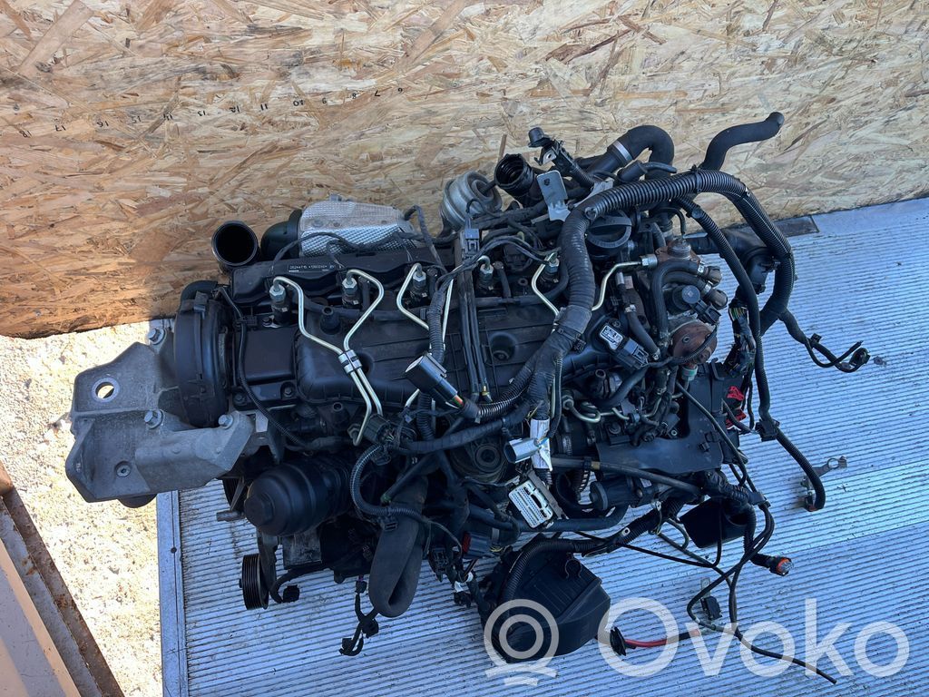 Engine   D5244T15,31349353,1393246