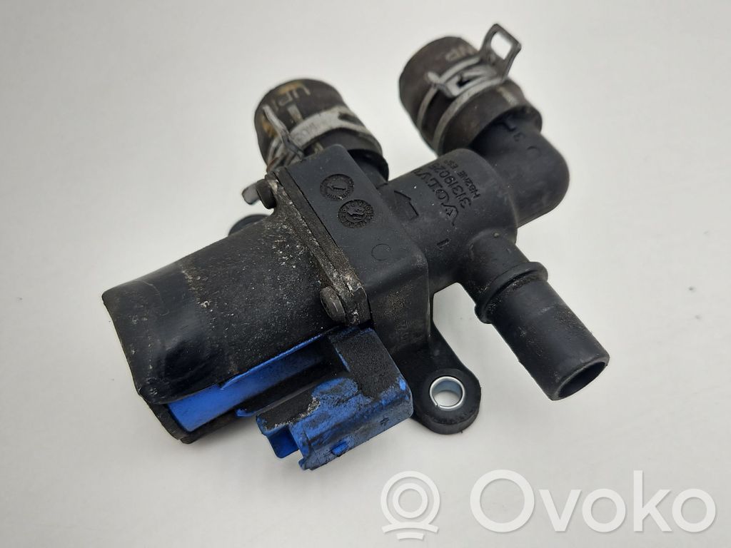 Electric engine pre-heating system (optional)   31319025