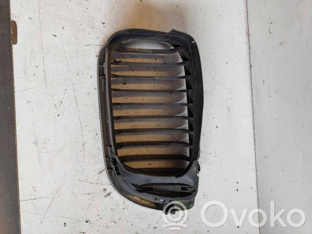 Kühlergrill   51137072130
