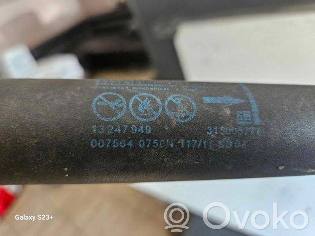 Opel Insignia A Tailgate/trunk strut/damper 
