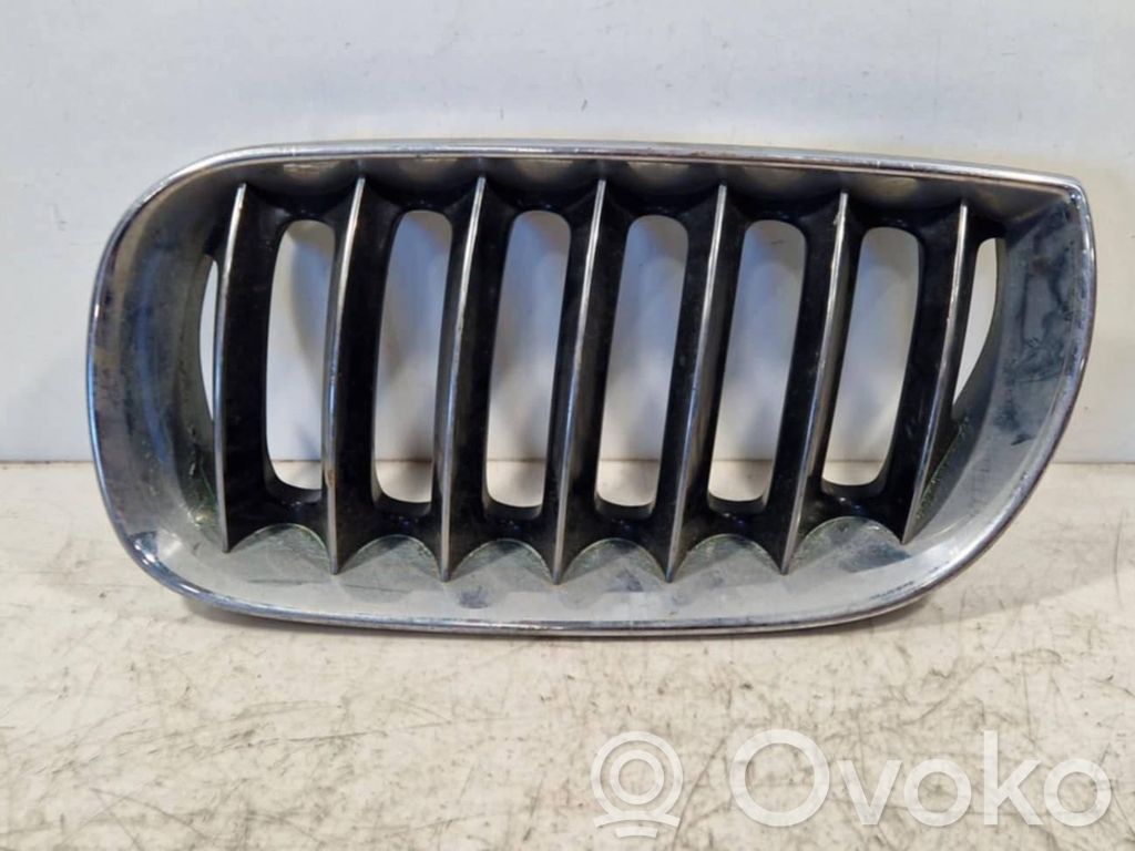 BMW X3 E83 Front grill 