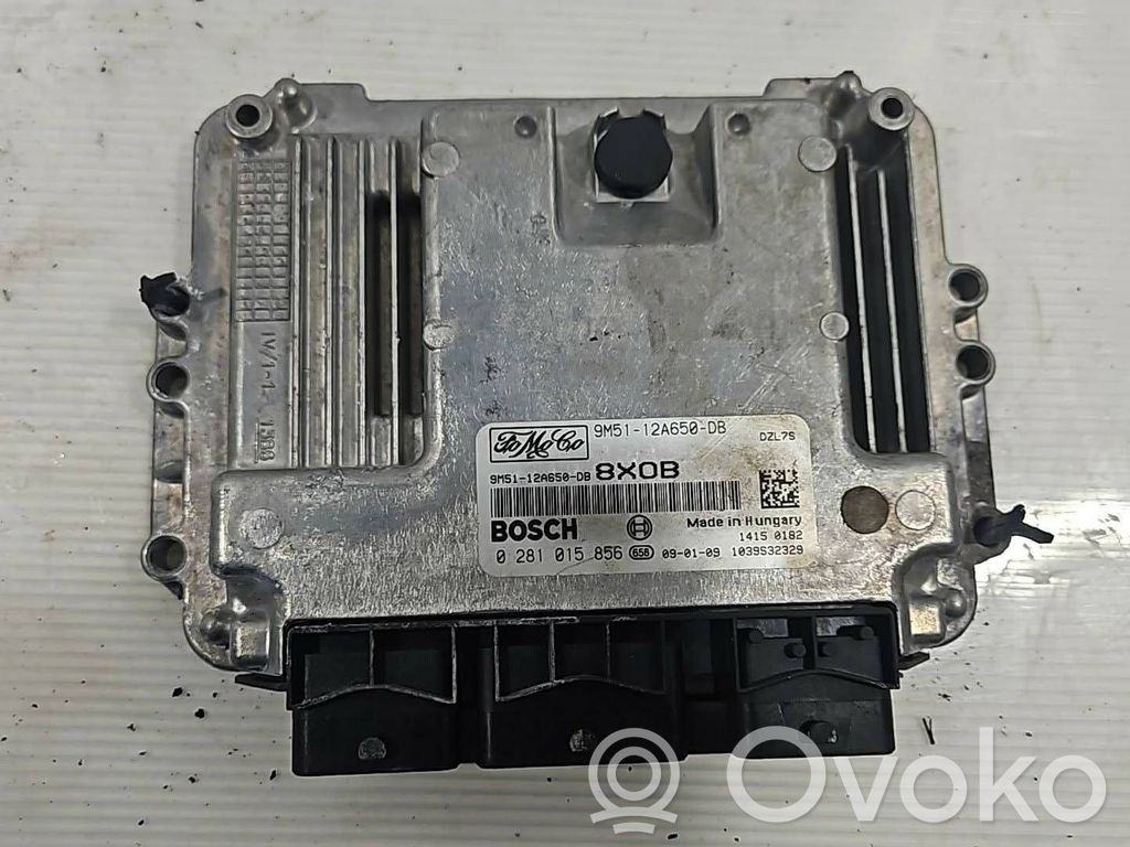 Ford Focus Engine control unit/module 