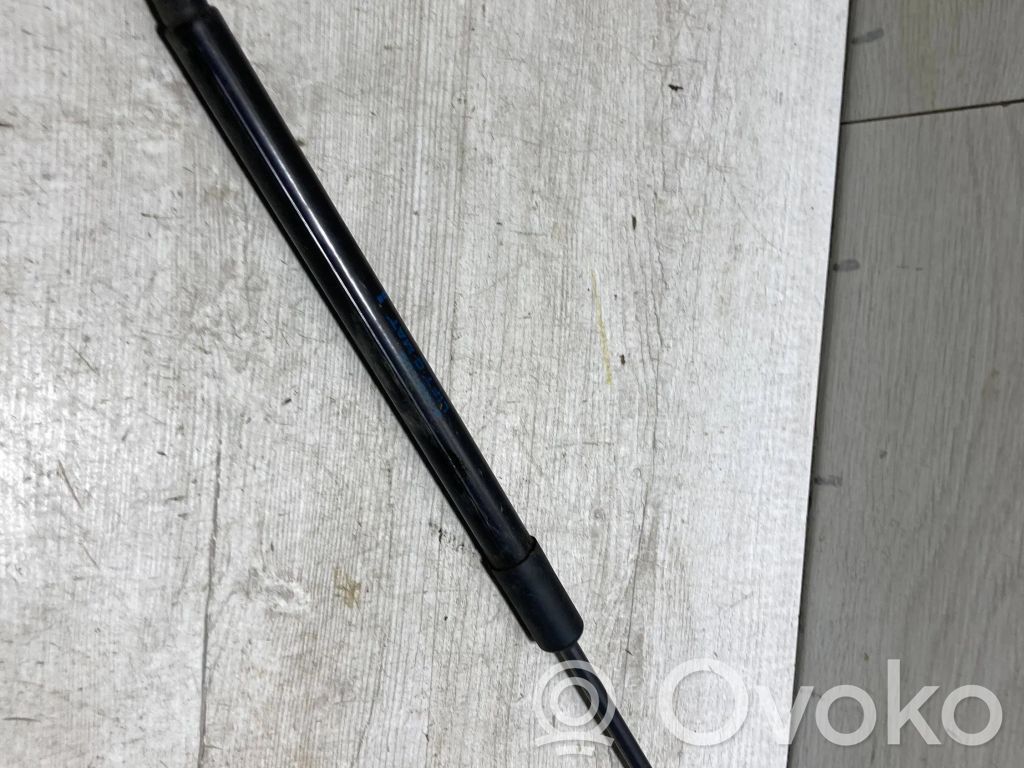 Renault Clio V Tailgate/trunk strut/damper 