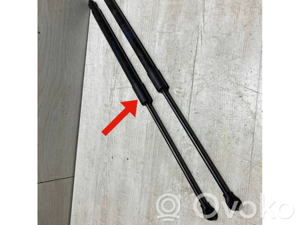 Renault Clio V Tailgate strut 