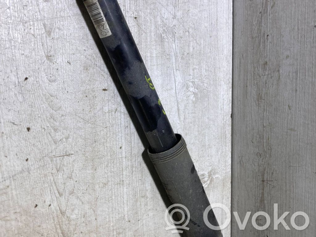 Citroen C3 Aizmugurē amortizators 