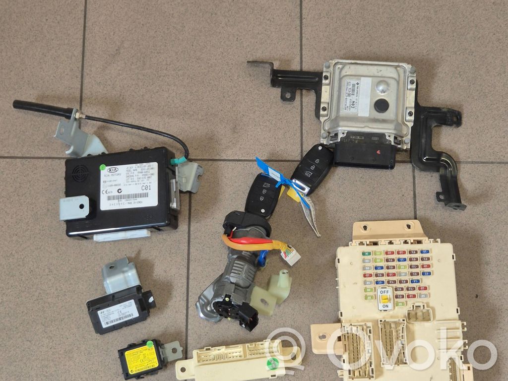 Engine ECU kit and lock set   391102BRBD,95800A2100,95400A2012,919402H130,91950A2030,954202Y000