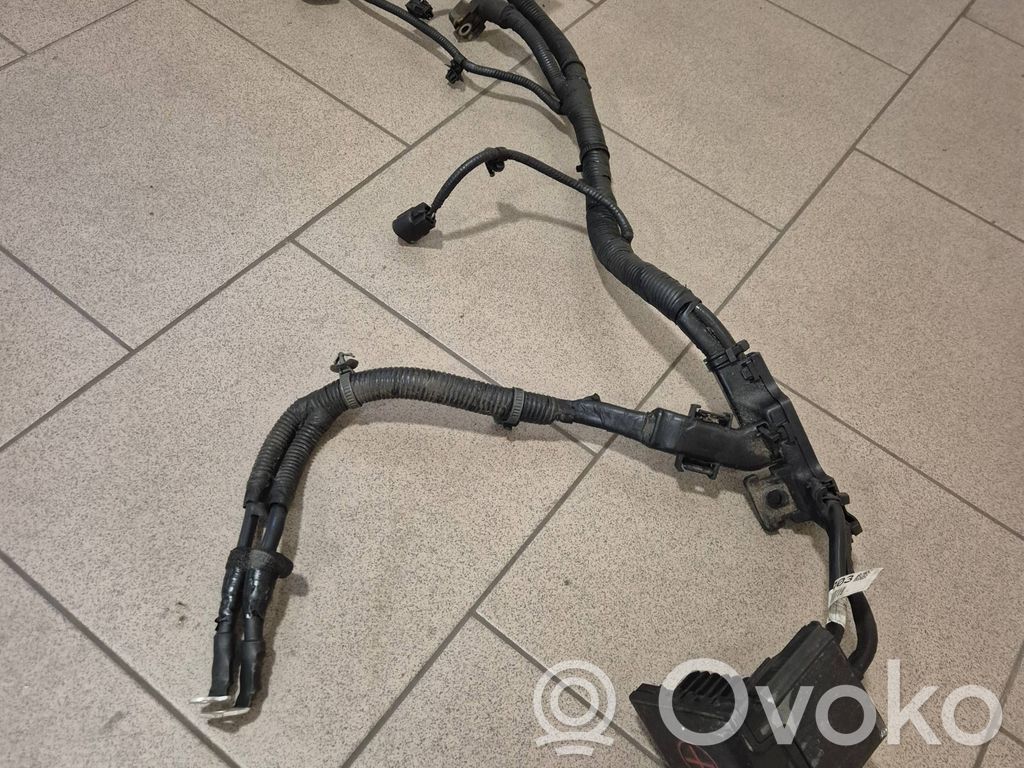 KIA Xceed Pluskaapeli (akku) 