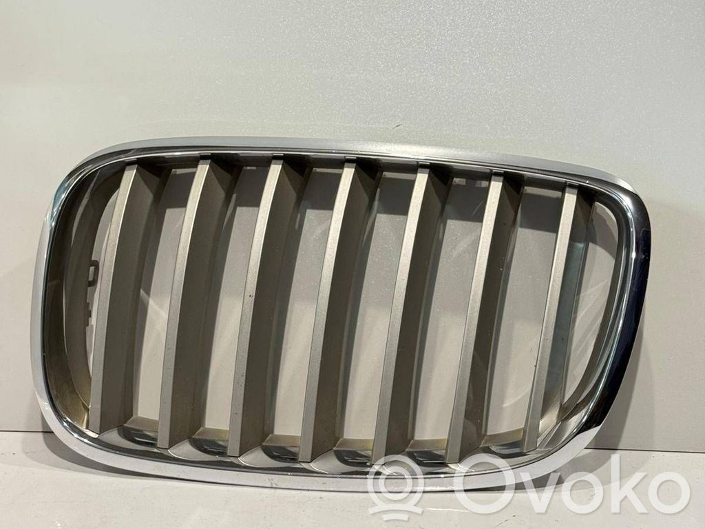 BMW X5 E70 Front bumper upper radiator grill 