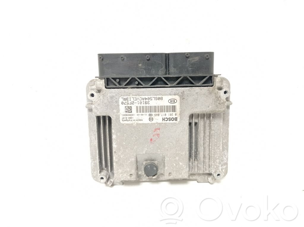 Engine control unit/module   391012F570,0281017046