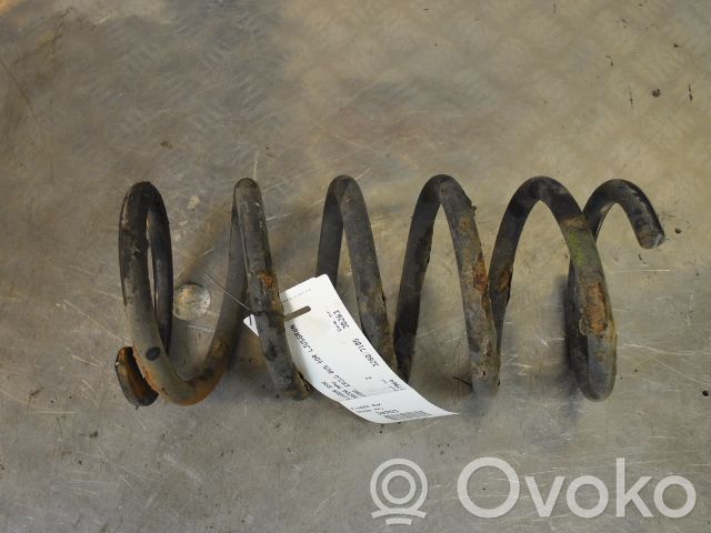 Rear coil spring