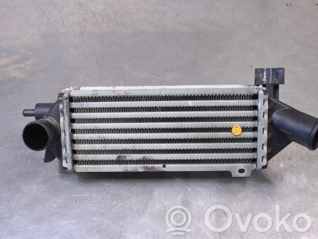 Intercooler radiator   90353028