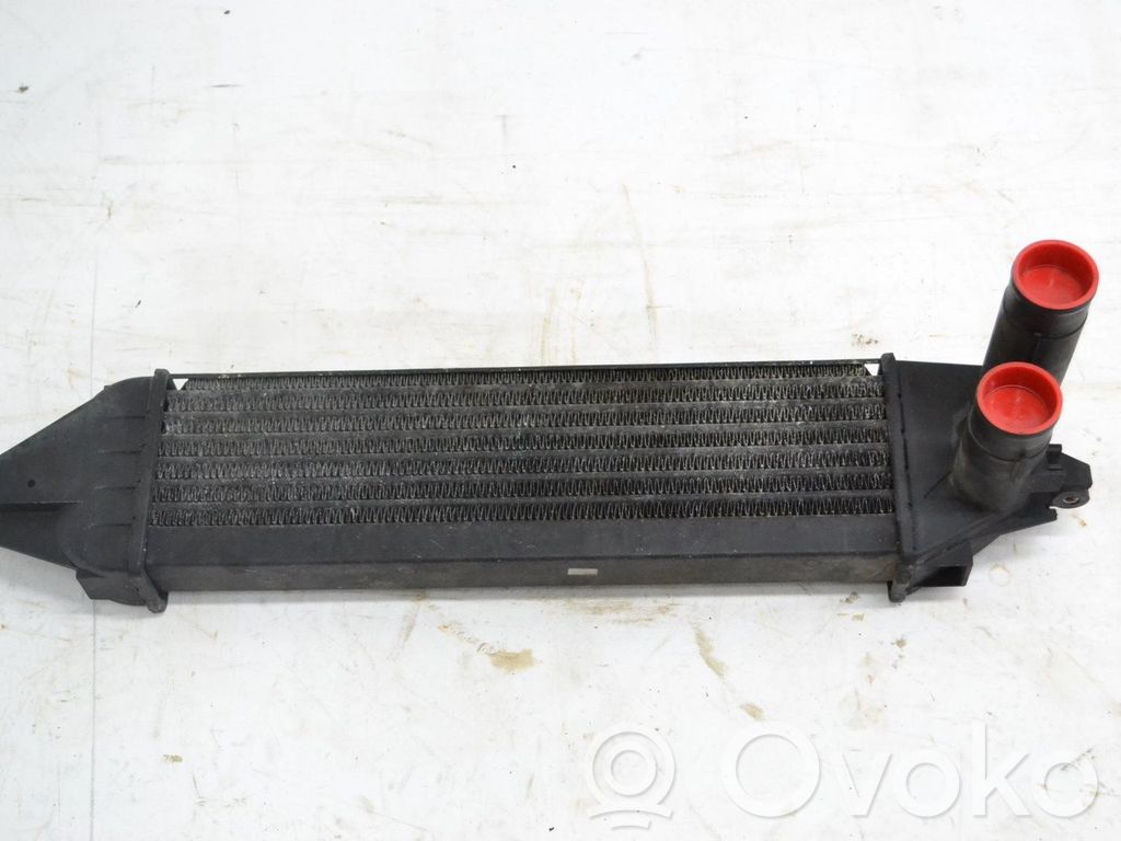 Intercooler radiator