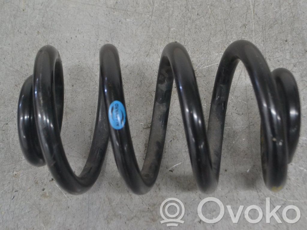 Front coil spring