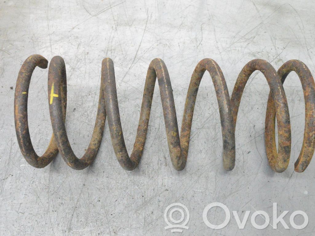 Front coil spring