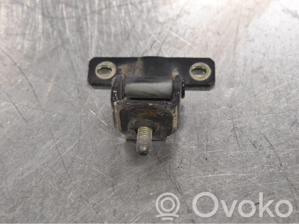 Tailgate/trunk/boot hinge