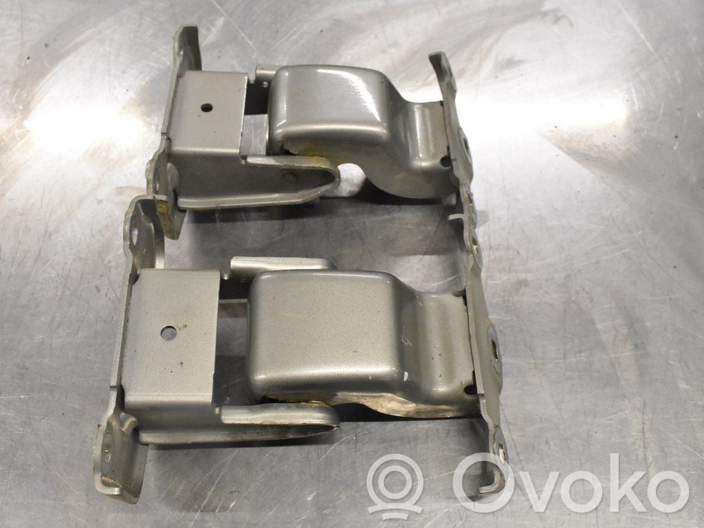 Tailgate/trunk/boot hinge