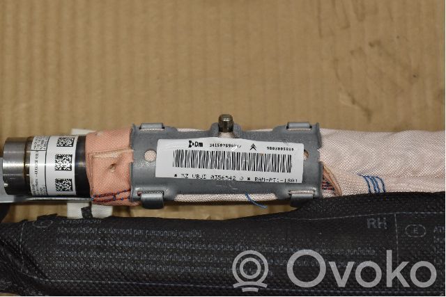 Kurtyna airbag   9803005880