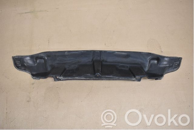 Moldura del limpia   110805275A
