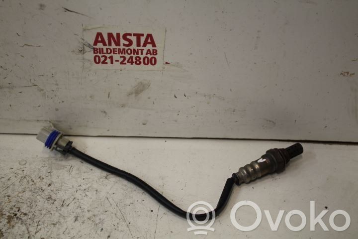 Lambda zondas   12572772