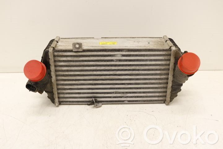 Ladeluftkühler   282702A770