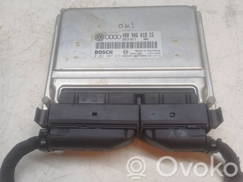 Volkswagen PASSAT B5.5 Engine control unit/module 