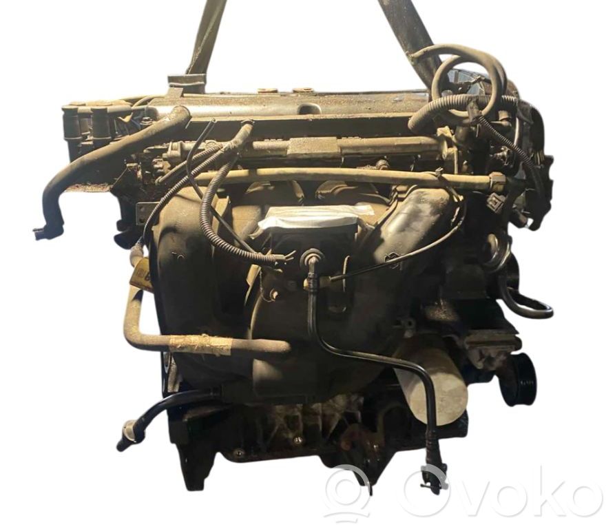 Ford Focus Двигатель 