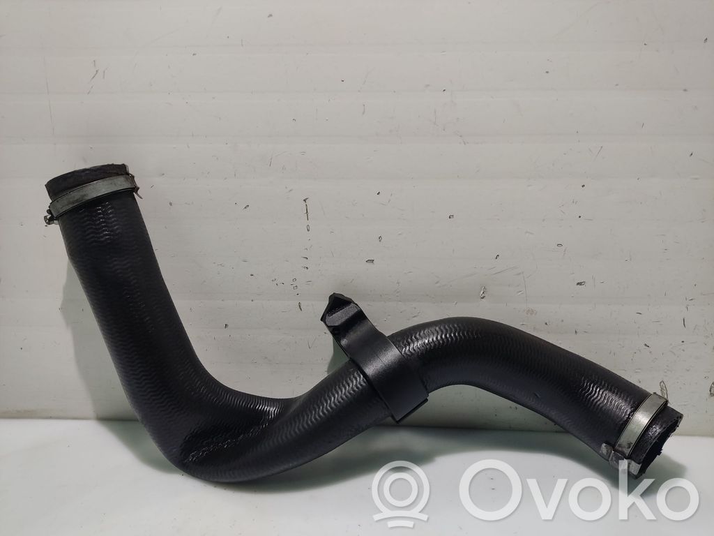 Ford Focus Muffler/silencer 