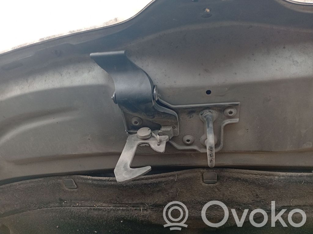 Tie down hook / loop   3T0823480B
