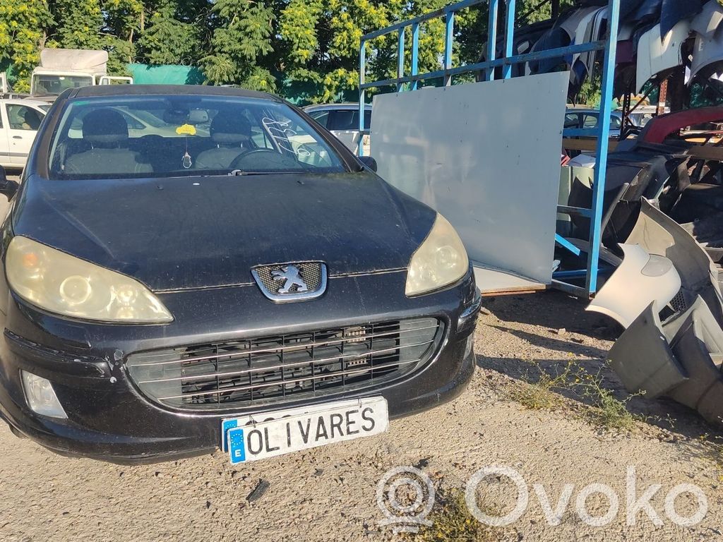Peugeot 407 Cinturón trasero 