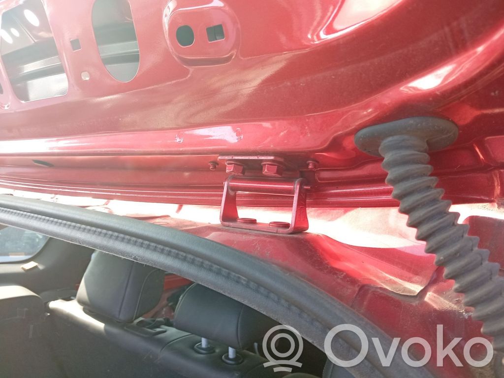 Renault Kadjar Rear door hinge set 