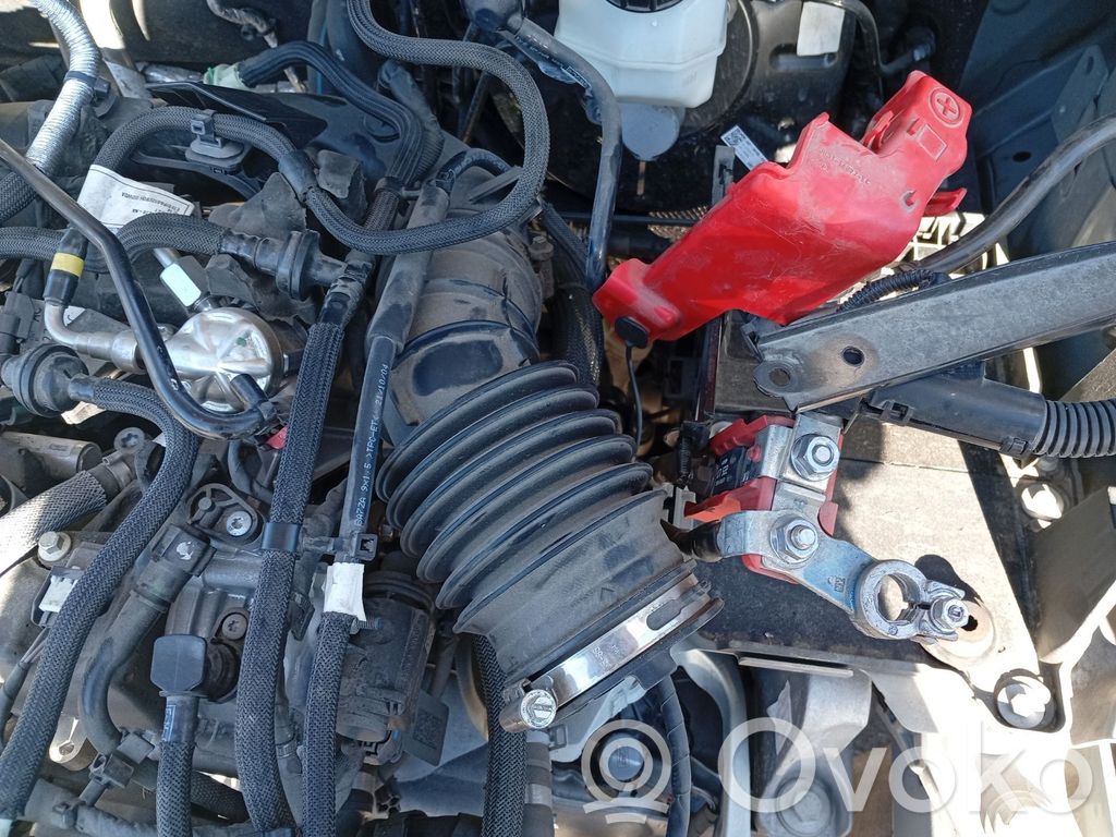 Ford Kuga III Äänenvaimennin 