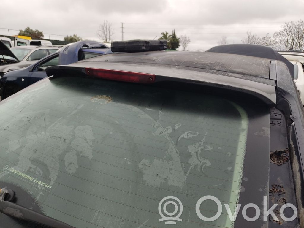Tailgate/trunk spoiler   1553311,1691112