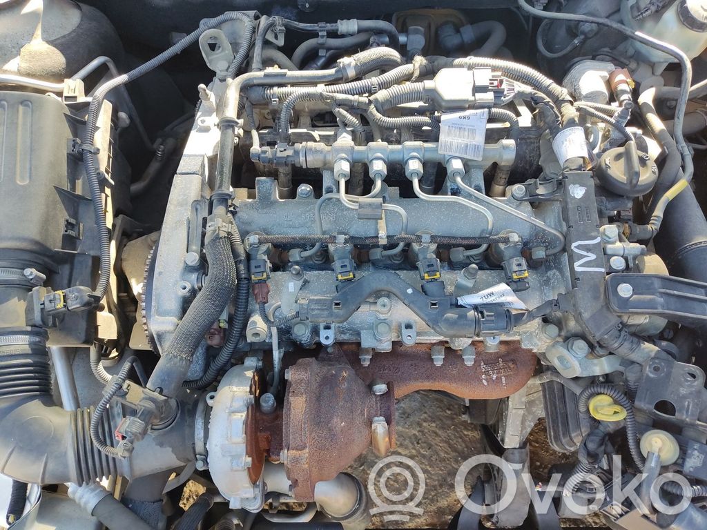 Opel Insignia A Galvutė 
