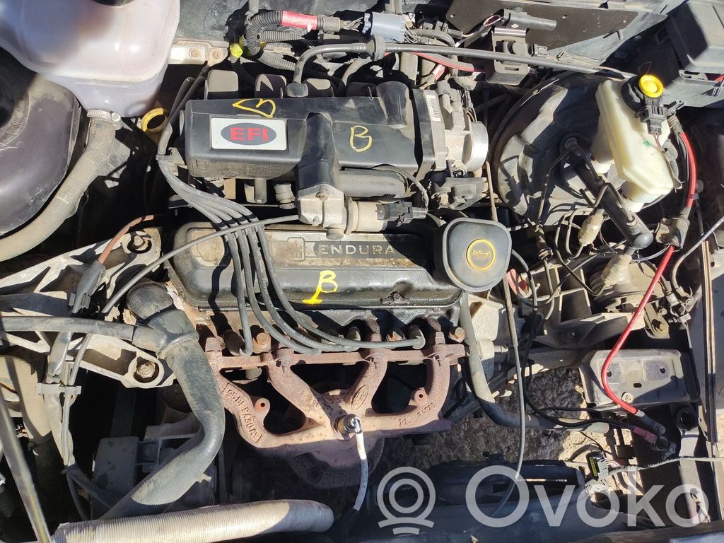 Ford Fiesta Engine 