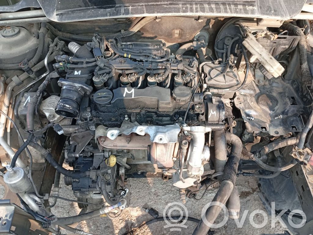 Peugeot 307 Kolektor ssący 
