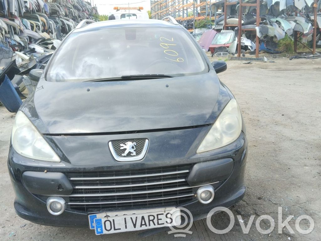 Peugeot 307 Starteris 