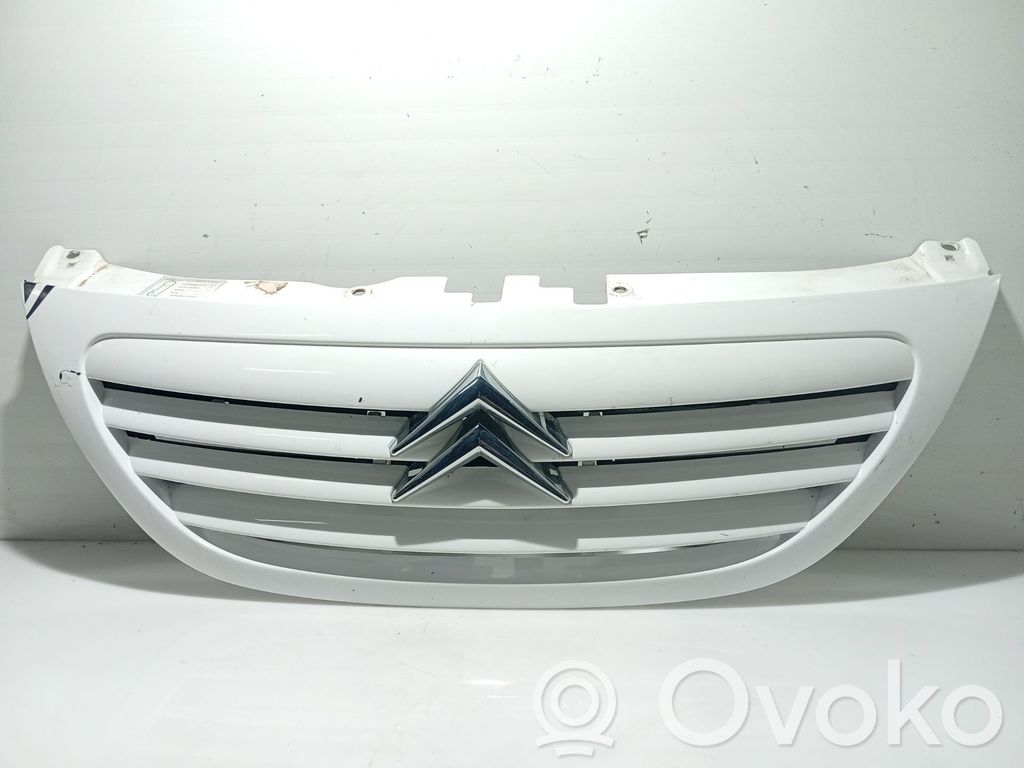 Citroen C3 Fender grill 